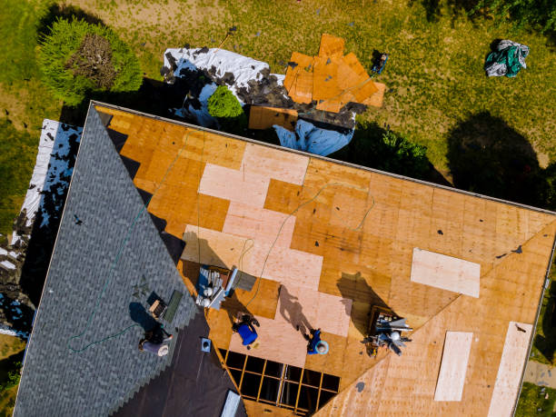 Roof Gutter Cleaning in Bonsall, CA
